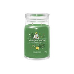 Yankee Candle Aromatinė žvakė Signatūrinė stiklinė didelė "Shimmering Christmas Tree" 567 g цена и информация | Подсвечники, свечи | 220.lv