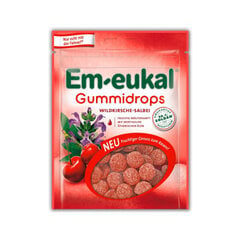 Konfektes Dr.Soldan EM-EUKAL Gummidrops Ķirsis & Salvija, 90g cena un informācija | Saldumi | 220.lv