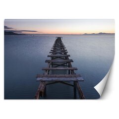 Fototaptes Tilts pāri ezeram цена и информация | Фотообои | 220.lv