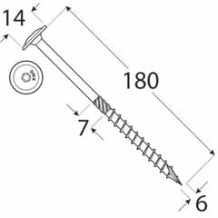 Koka skrūves CT 6 x 180, 100tk TX30 цена и информация | Крепежные изделия | 220.lv