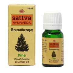 Priedes ēteriskā eļļa Sattva Ayurveda Pine, 10 ml cena un informācija | Ēteriskās eļļas, kosmētiskās eļļas, hidrolāti | 220.lv