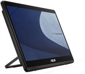 Asus All in One E1600WKAT-BA072W (90PT0391-M00T20) cena un informācija | Stacionārie datori | 220.lv