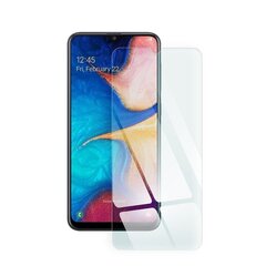 Blue Star защитное стекло экрана, для Apple iPhone Xs Max цена и информация | Защитные пленки для телефонов | 220.lv