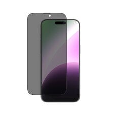 Удивительная вещь Закаленное стекло Titan Privacy Glass IP156.1PPRCFGLA для Iphone 15 Pro цена и информация | Защитные пленки для телефонов | 220.lv