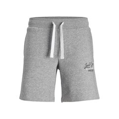 Спортивные мужские шорты Jack & Jones JPSTANDY SWEAT 12225087 Серый цена и информация | Мужская спортивная одежда | 220.lv