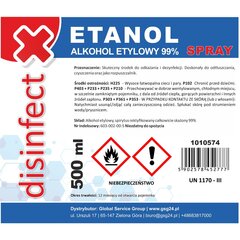 ETHANOL - Etilspirts denaturēts DESINFECT 99% aerosols 500ml 10105741 цена и информация | Механические инструменты | 220.lv