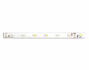 LED aukla 24V, 5 m, auksta balta gaisma, balta pamatne, 300 LED, ūdensizturīga. cena un informācija | LED lentes | 220.lv