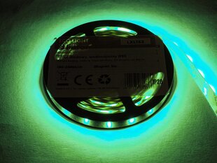 PS ECO LED шнур IP65, зеленый, 60 светодиодов SMD3528, 5м, белая подложка. цена и информация | Светодиодные ленты | 220.lv