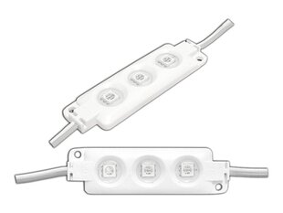 PS LED-5050 3 диодных модуля, синий, водонепроницаемый. цена и информация | Светодиодные ленты | 220.lv