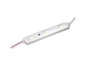 PS LED-5050 3 диодных модуля, холодный белый свет, водонепроницаемый. цена и информация | Светодиодные ленты | 220.lv