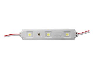 PS LED-5050 3 диодных модуля, холодный белый свет, водонепроницаемый. цена и информация | Светодиодные ленты | 220.lv