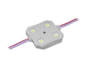 PS LED-5050 4 диодных модуля, холодный белый свет, водонепроницаемый. цена и информация | Светодиодные ленты | 220.lv