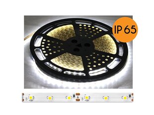 PS ECO LED vads IP65, dabiska balta gaisma, 60diod|m, 25m, balta pamatne, SMD2835. cena un informācija | LED lentes | 220.lv