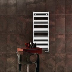 Dvieļu žāvētājs Zehnder Forma Spa LF-120-050-05, 120x50 cm. RAL9016 balts cena un informācija | Dvieļu žāvētāji | 220.lv