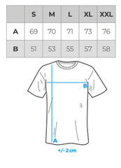 T-krekls vīriešu Ombre OM-TSCT-22SS-006 cena un informācija | Vīriešu T-krekli | 220.lv