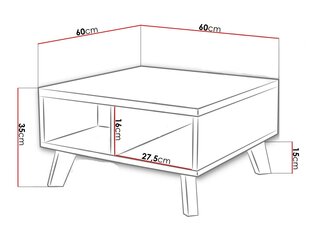 Sanna kafijas galdiņš, 60x35cm cena un informācija | Žurnālgaldiņi | 220.lv