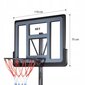 Basketbola statīvs Nils ZDK321, 110x75 cm cena un informācija | Basketbola statīvi | 220.lv