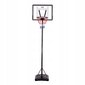 Basketbola statīvs Nils ZDK8305, 110x75 cm цена и информация | Basketbola statīvi | 220.lv