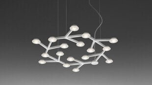 Artemide Net By Gerhard Reichert And Michele De Lucchi Circular 1575010A подвесные светильники Серебраный OS цена и информация | Люстры | 220.lv