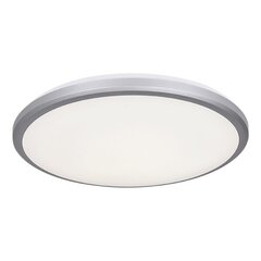 el-4015 LED griestu lampa 36w 4000k ip54 pelēka cena un informācija | Iebūvējamās lampas, LED paneļi | 220.lv