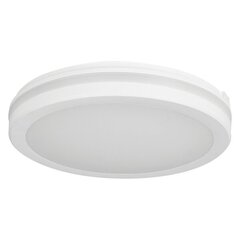 el-2181 LED griestu lampa 30w cct ip65 balta cena un informācija | Iebūvējamās lampas, LED paneļi | 220.lv