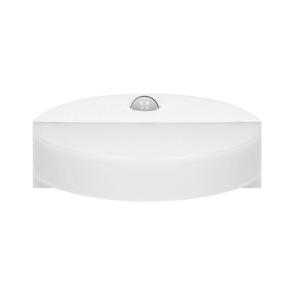 Plafond LED HALIT 10W 4000K ar kustības detektoru OR-OP-6116WLPMR4 balts цена и информация | Griestu lampas | 220.lv