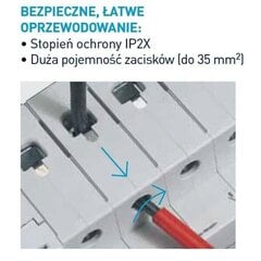 Wyłącznik nadprądowy RX3 B16 1P Legrand cena un informācija | Elektrības slēdži, rozetes | 220.lv