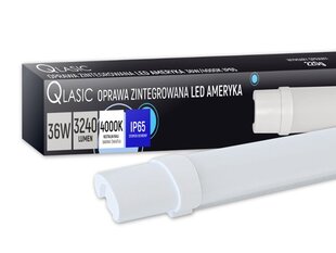 PS LED GAISMEKLIS QLASIC 36W|NEUTRAL 3240LM 120CM, AMERIKA, DIOLED. cena un informācija | Lustras | 220.lv