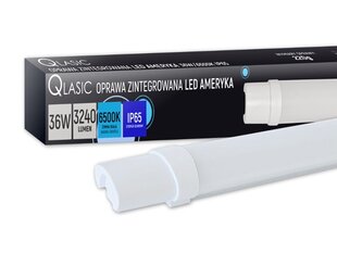 PS LED GAISMEKLIS QLASIC 36W|COLD 3240LM 120CM AMERICA, DIOLED. cena un informācija | Lustras | 220.lv