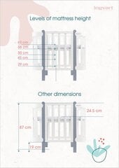 Bērnu gultiņa-transformers Ingvart Nika 5-in-1, 60x120cm, balta/dabīgā krāsā cena un informācija | Bērnu gultas | 220.lv