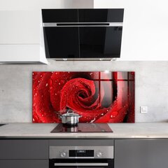 Virtuves sienas panelis, Rasas pilieni uz sarkanas rozes, 100x50cm цена и информация | Комплектующие для кухонной мебели | 220.lv