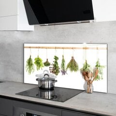 Virtuves sienas panelis, Veselīgs uzturs ar žāvētiem augiem, 120x60cm цена и информация | Комплектующие для кухонной мебели | 220.lv