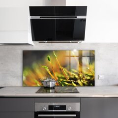 Virtuves sienas panelis, Sīkāka informācija par meža sūnām, 120x60cm cena un informācija | Virtuves furnitūra | 220.lv