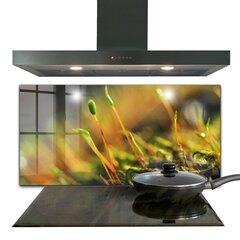 Virtuves sienas panelis, Sīkāka informācija par meža sūnām, 120x60cm цена и информация | Комплектующие для кухонной мебели | 220.lv