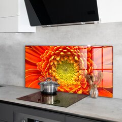 Virtuves sienas panelis, Apelsīnu Gerberas Zieds, 120x60cm cena un informācija | Virtuves furnitūra | 220.lv