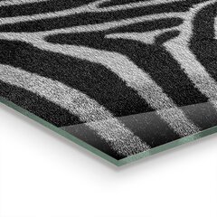 Virtuves sienas panelis, Zebra Skin African Ext, 120x60cm cena un informācija | Virtuves furnitūra | 220.lv