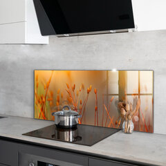 Virtuves sienas panelis, Graudu lauks saulrietā, 125x50cm cena un informācija | Virtuves furnitūra | 220.lv