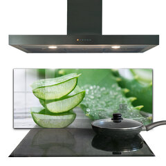 Virtuves sienas panelis, Aloe Aloe Vera Augs, 125x50cm цена и информация | Комплектующие для кухонной мебели | 220.lv
