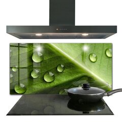 Virtuves sienas panelis, Lapa ar rīta rasas pilieniem, 140x70cm cena un informācija | Virtuves furnitūra | 220.lv