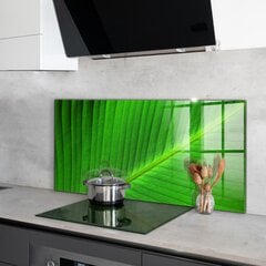Virtuves sienas panelis, Tropu palmas lapa, 140x70cm cena un informācija | Virtuves furnitūra | 220.lv
