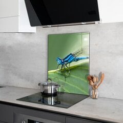 Virtuves sienas panelis, Spāre uz lapas, 60x80cm cena un informācija | Virtuves furnitūra | 220.lv