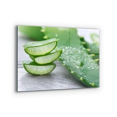 Virtuves sienas panelis, Aloe Aloe Vera Augs, 80x60cm цена и информация | Комплектующие для кухонной мебели | 220.lv