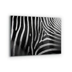 Virtuves sienas panelis, Zebra Skin African Ext, 80x60cm cena un informācija | Virtuves furnitūra | 220.lv