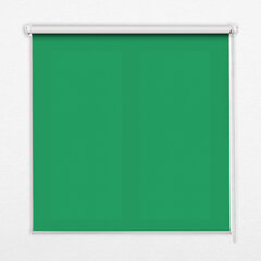 Rullo žalūzijas, Zaļš, 60x140 cm cena un informācija | Rullo žalūzijas | 220.lv