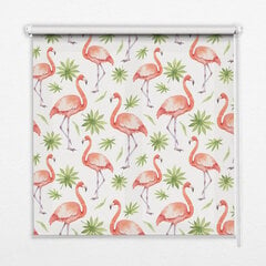 Rullo žalūzijas, Flamingo un lapas, 60x140 cm цена и информация | Рулонные шторы | 220.lv