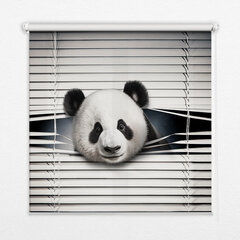 Iekšējā rullo žalūzija, kas ļauj gaismai iziet cauri, Panda, 130x140 cm cena un informācija | Rullo žalūzijas | 220.lv