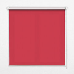 Rullo žalūzijas, sarkans, 50x50 cm cena un informācija | Rullo žalūzijas | 220.lv