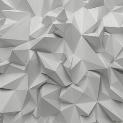 Rullo žalūzijas, 3D papīra siena, 100x100 cm cena un informācija | Rullo žalūzijas | 220.lv