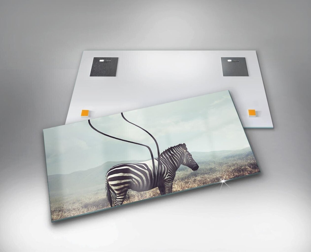 Rūdīta stikla attēls Bez Zebra raksturīgajām iezīmēm, 100x50 cm цена и информация | Gleznas | 220.lv