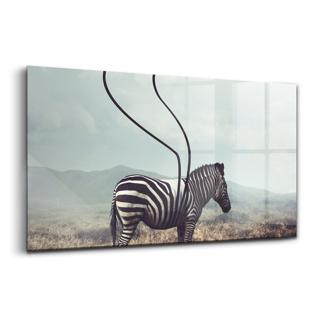 Rūdīta stikla attēls Bez Zebra raksturīgajām iezīmēm, 100x50 cm cena un informācija | Gleznas | 220.lv